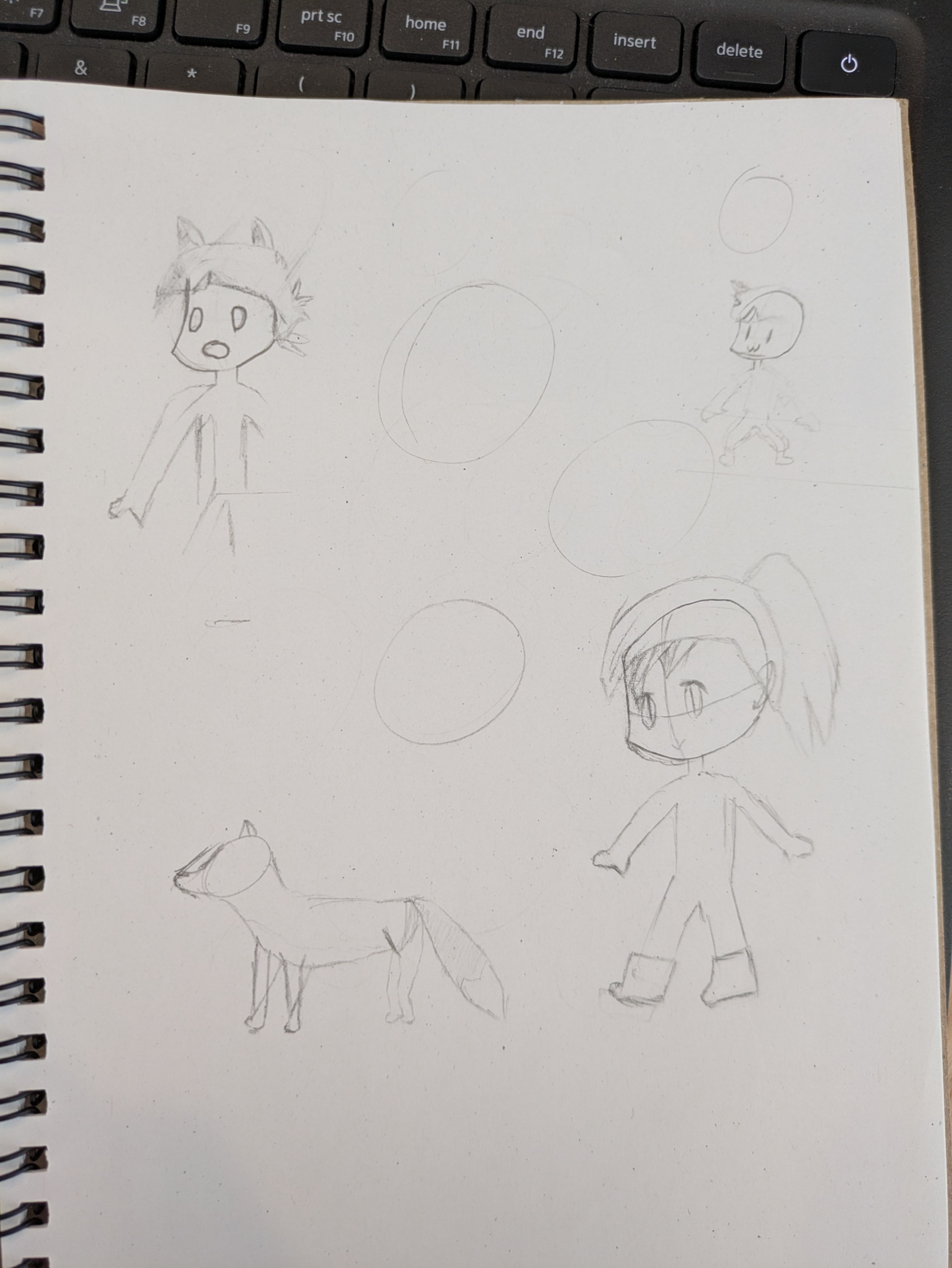 Draw