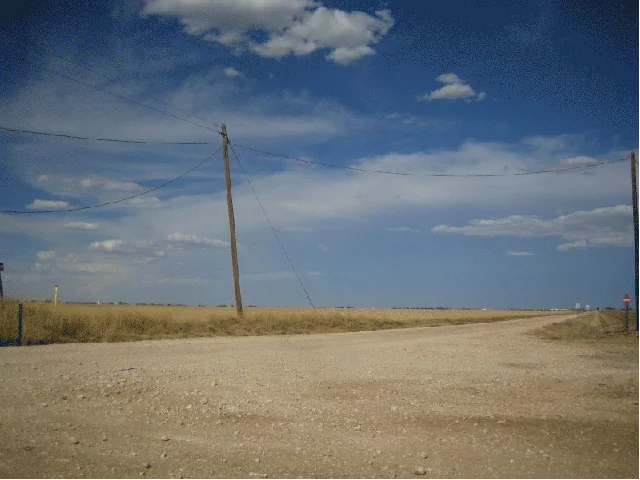 image of tumble weed